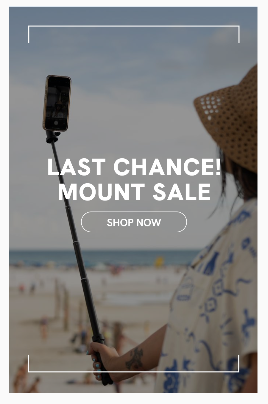 Last Chance! Mount Sale