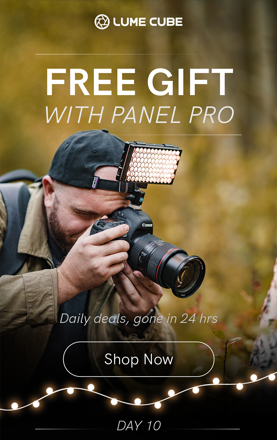 Free Accessory Pack with Panel Pro purchase.