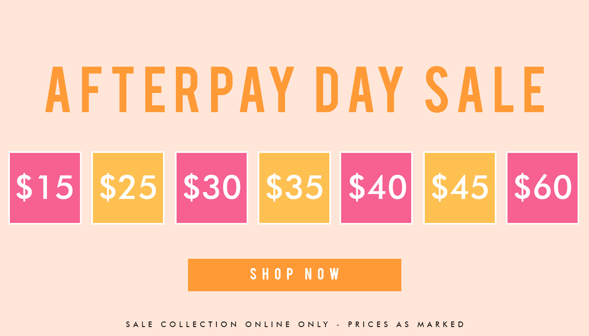 Sneak Peak Blooms Collection🌷 COMING SOON! Billy J