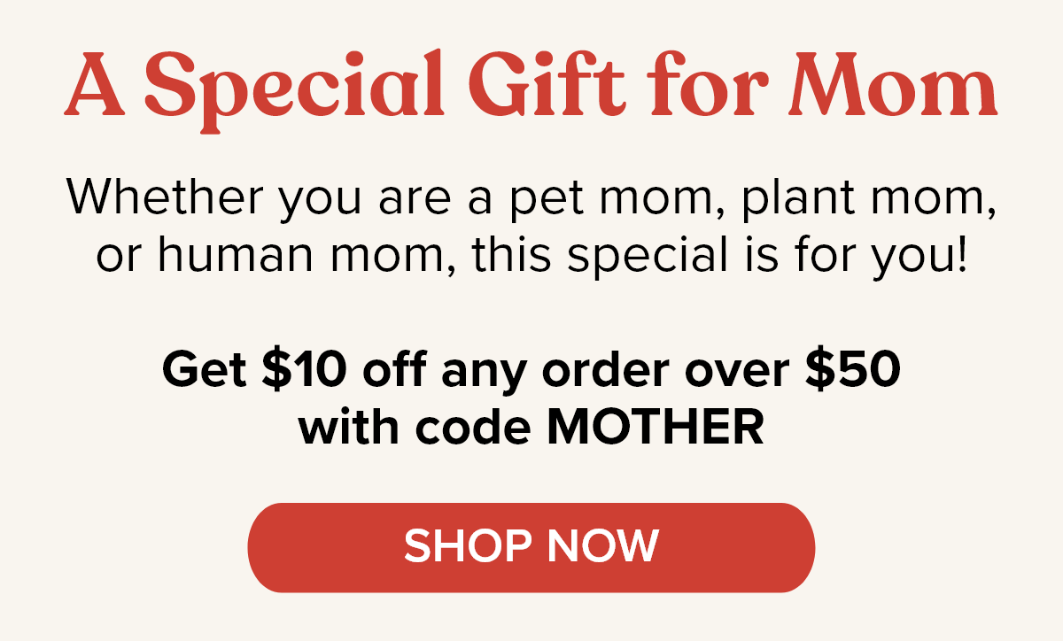 New Monthly Deals