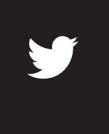 Follow us on Twitter!