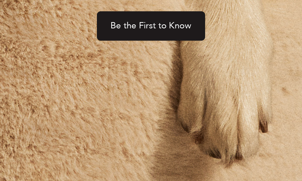 Can you guess our NEW product? UnHide