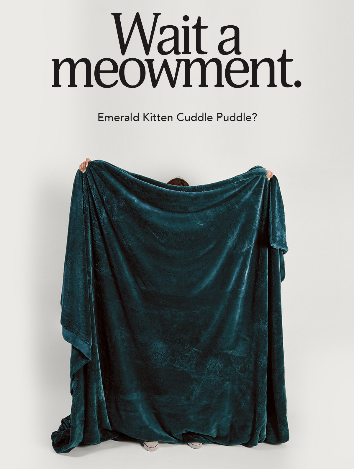 Can HUE guess our new Cuddle Puddle color? 🤔 UnHide