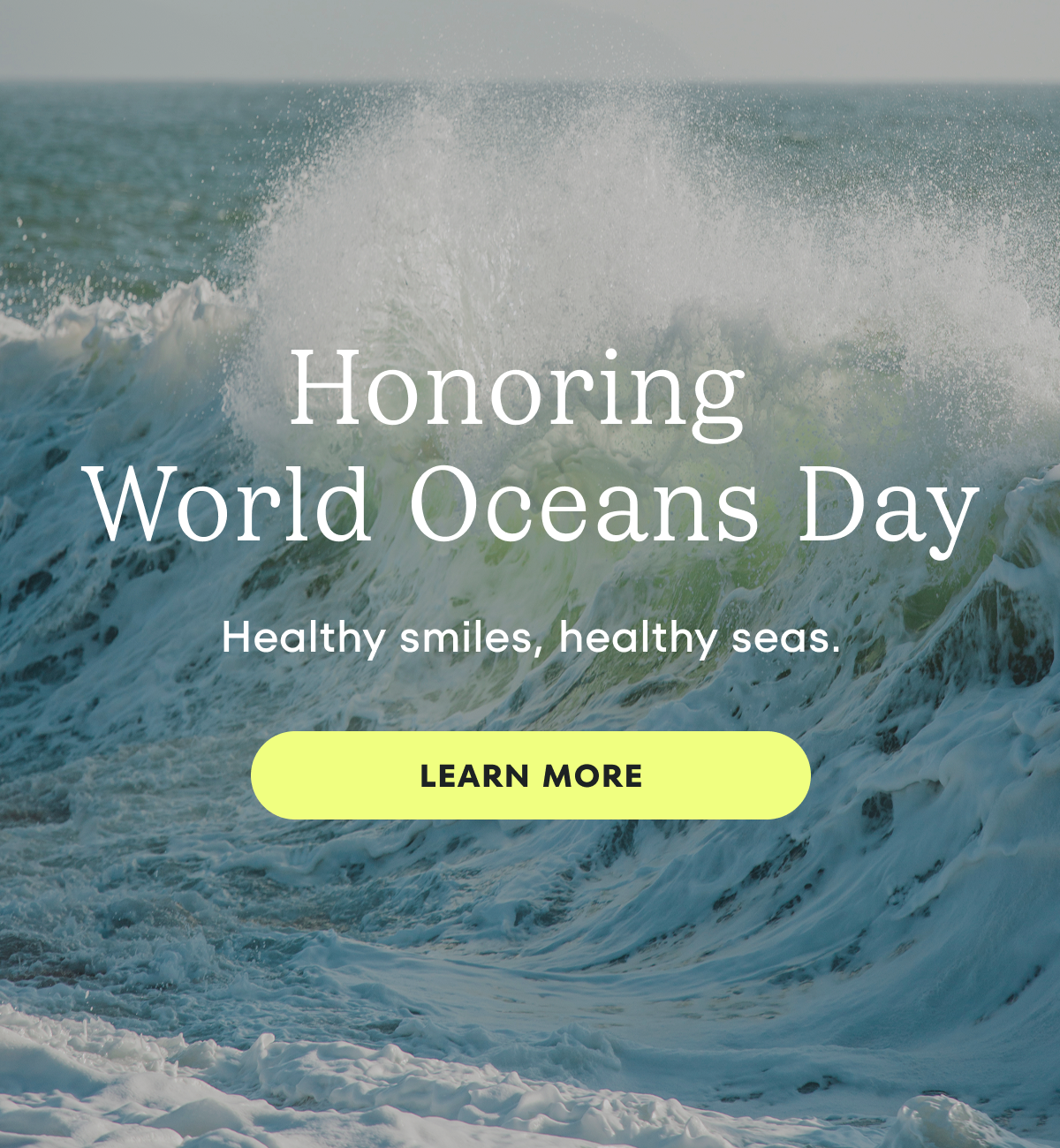 Honoring World Ocean Day