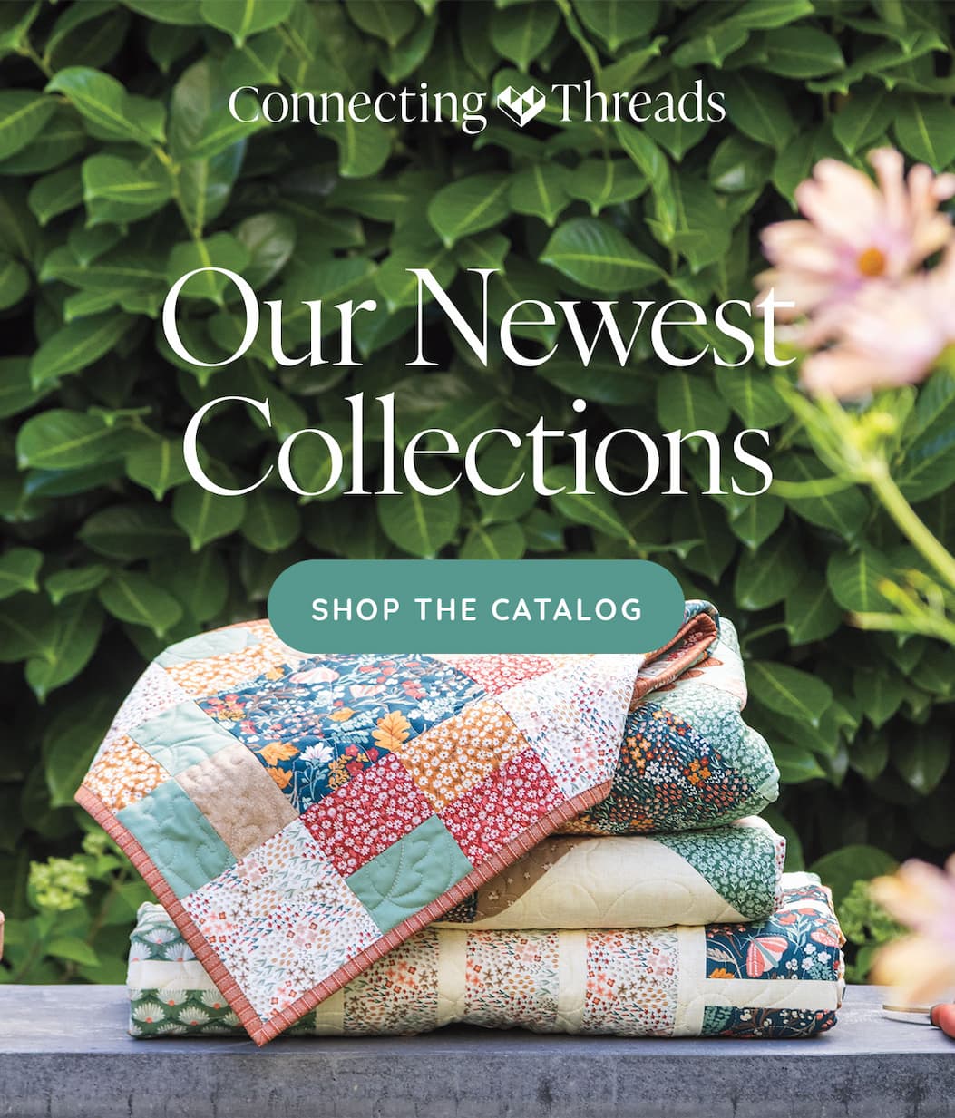 Our Newest Collections Shop the Catalog