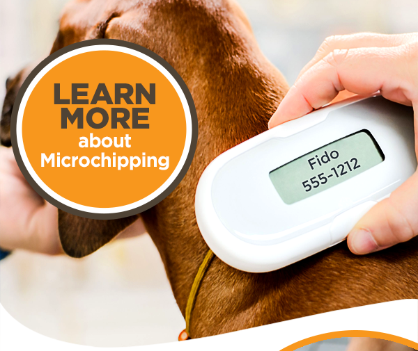 🆔 It's National Pet ID Week. Learn more about microchipping. Neater Pets
