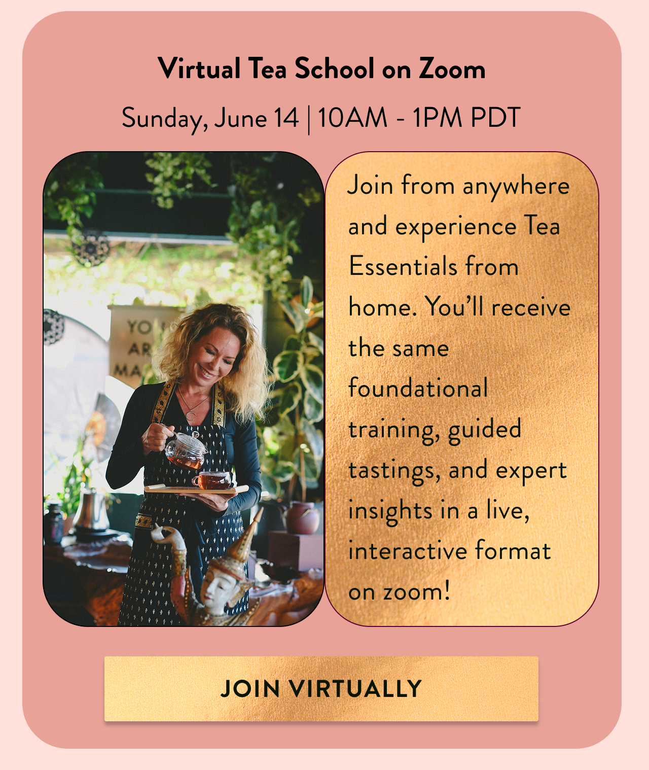 Join Virtually On Zoom