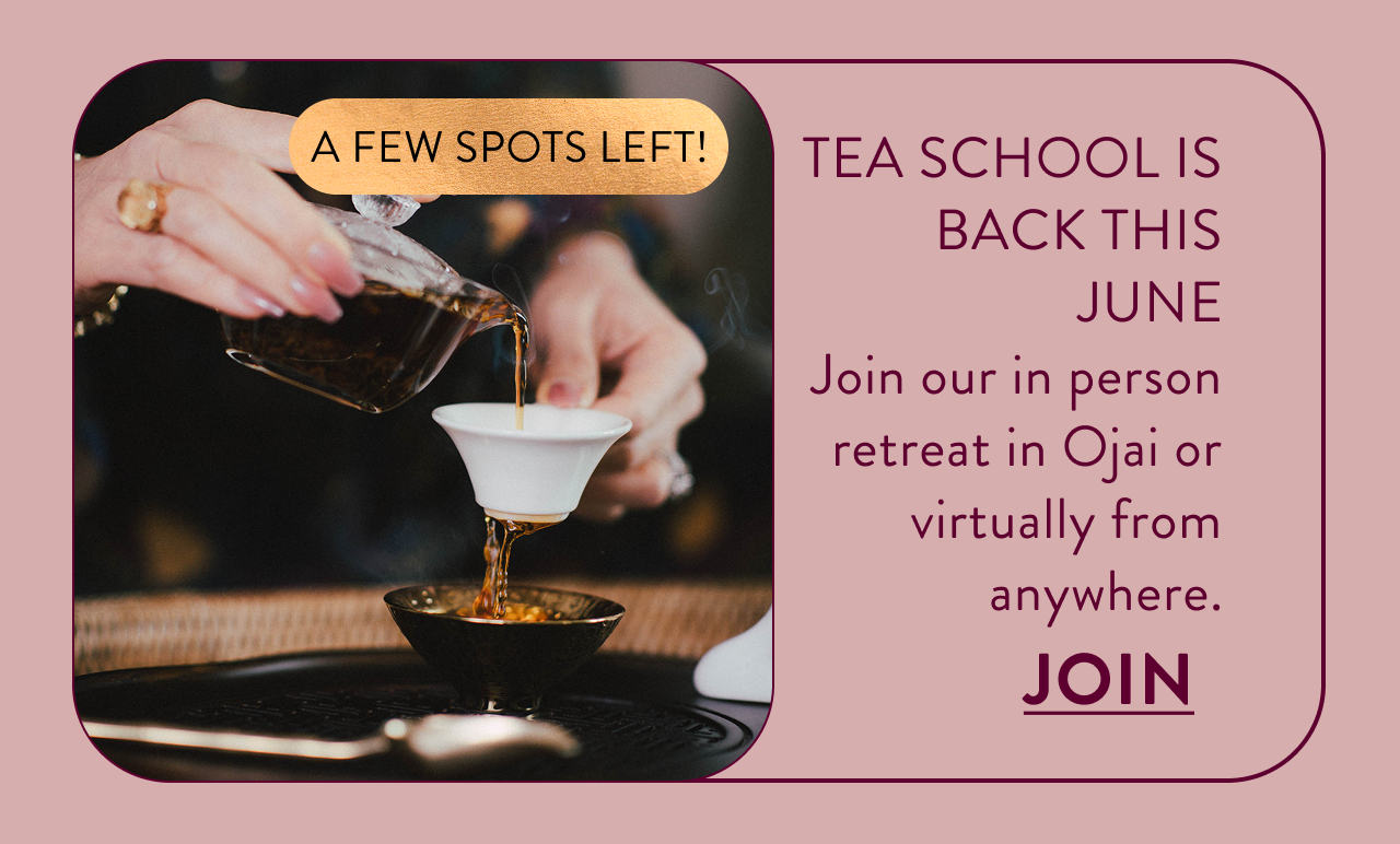 Tea School is Back in June 