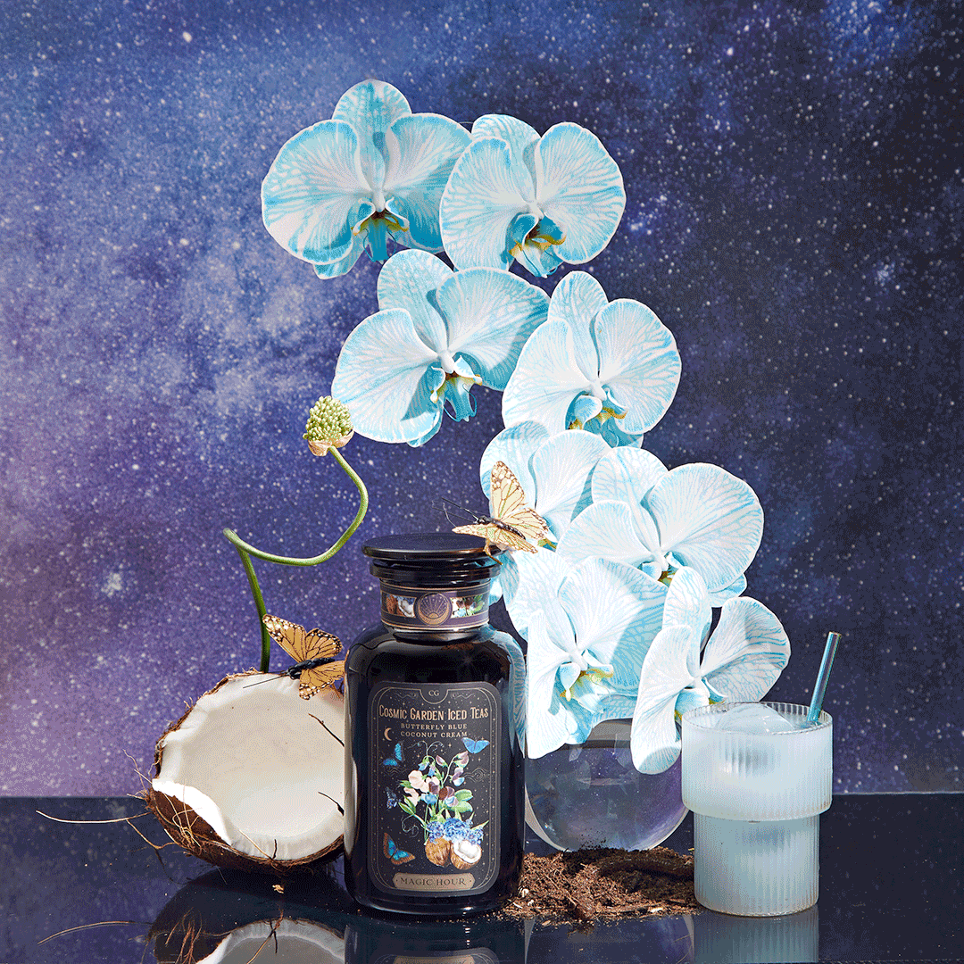 Shop BUtterfly Blue Gif