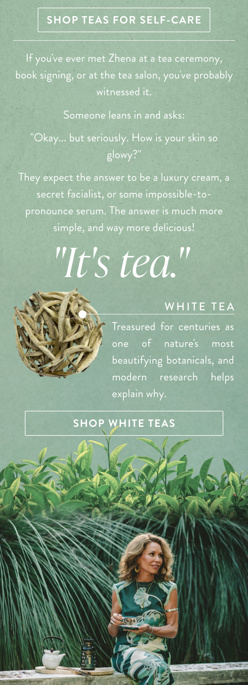 Shop teas for self care 