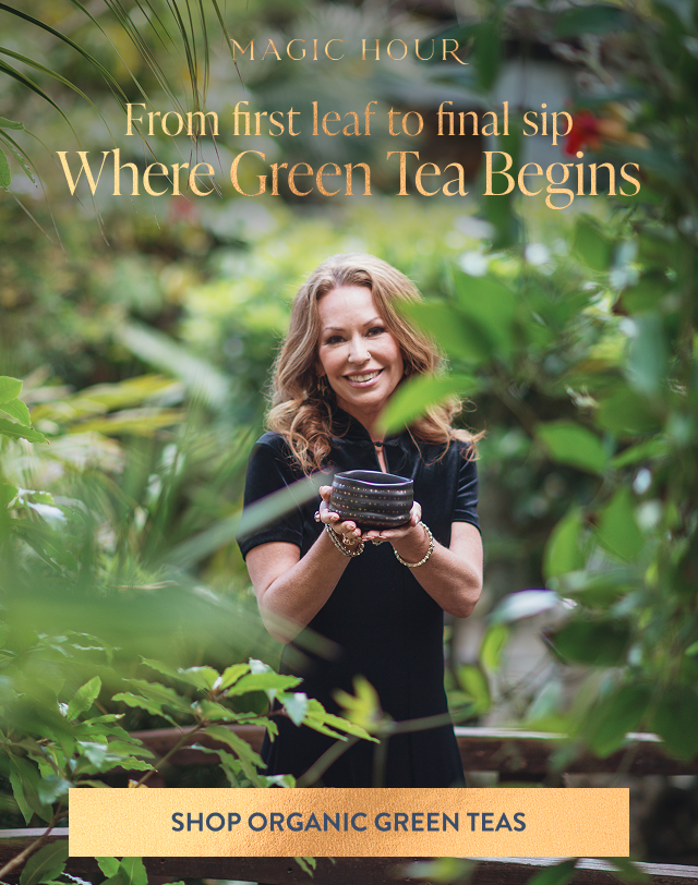 Where Green Tea Begins