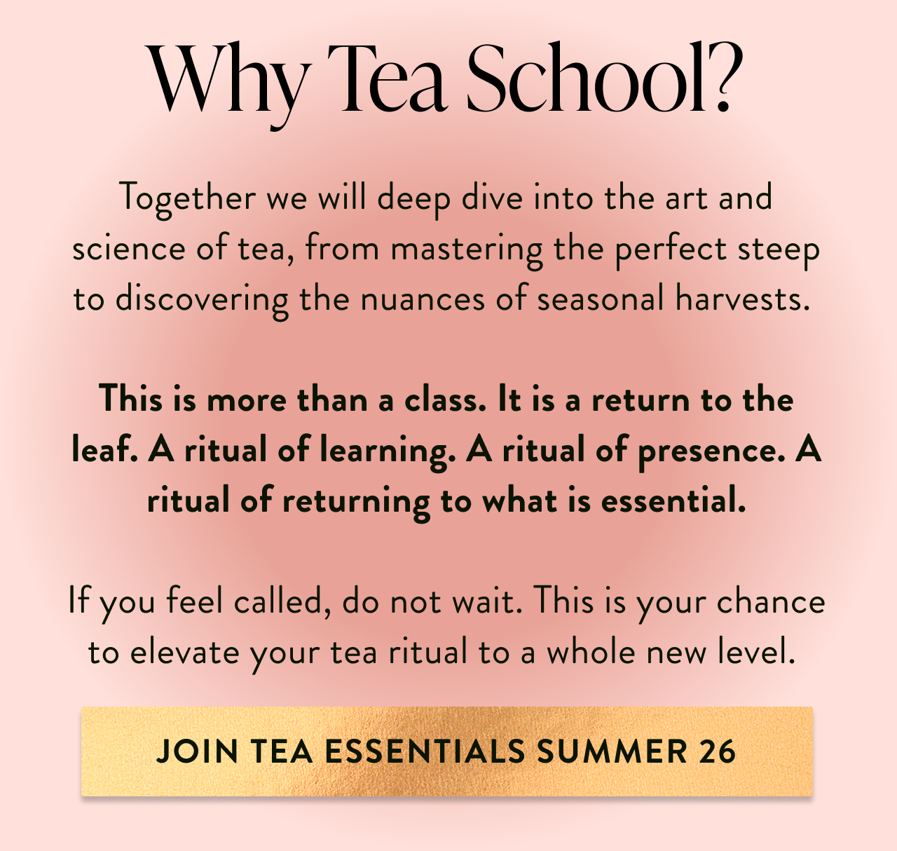 Why Tea School? 
