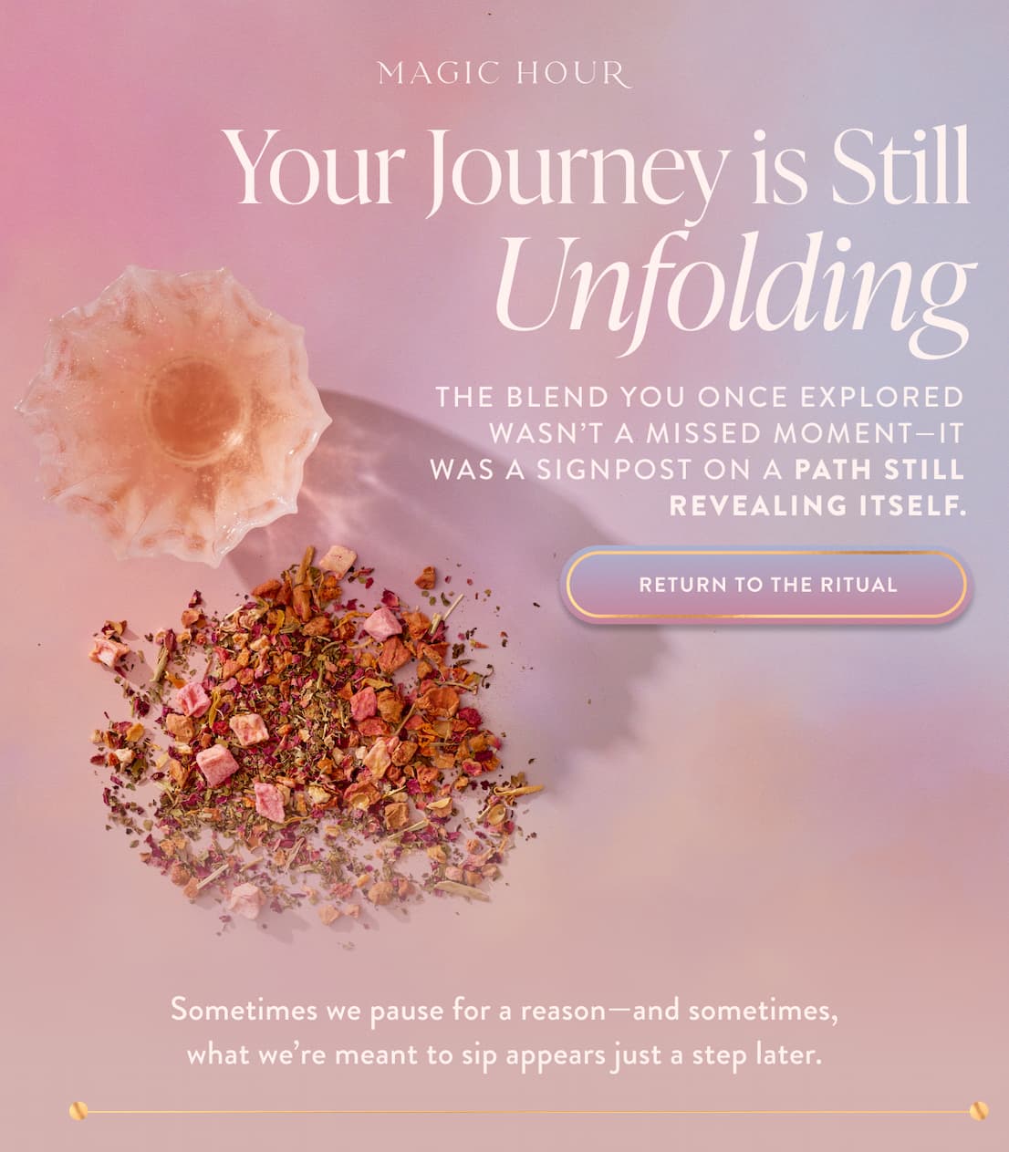 Your Journey Is Still Unfolding. The blend you once explored wasn't a missed moment—it was a signpost on a path still revealing itself. Sometimes we pause for a reason. And sometimes, what we're meant to sip appears just a step later.