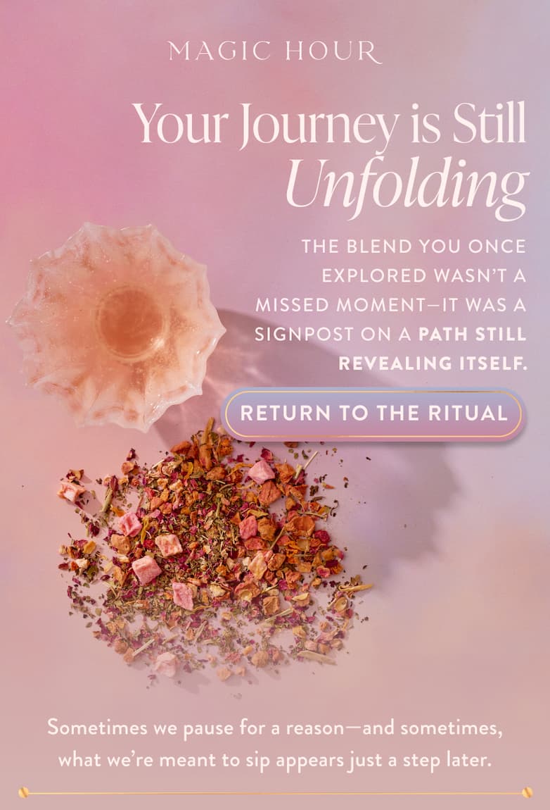 Your Journey Is Still Unfolding. The blend you once explored wasn't a missed moment—it was a signpost on a path still revealing itself. Sometimes we pause for a reason. And sometimes, what we're meant to sip appears just a step later.