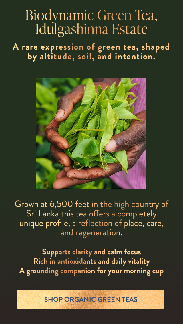 Biodynamic Green Tea 