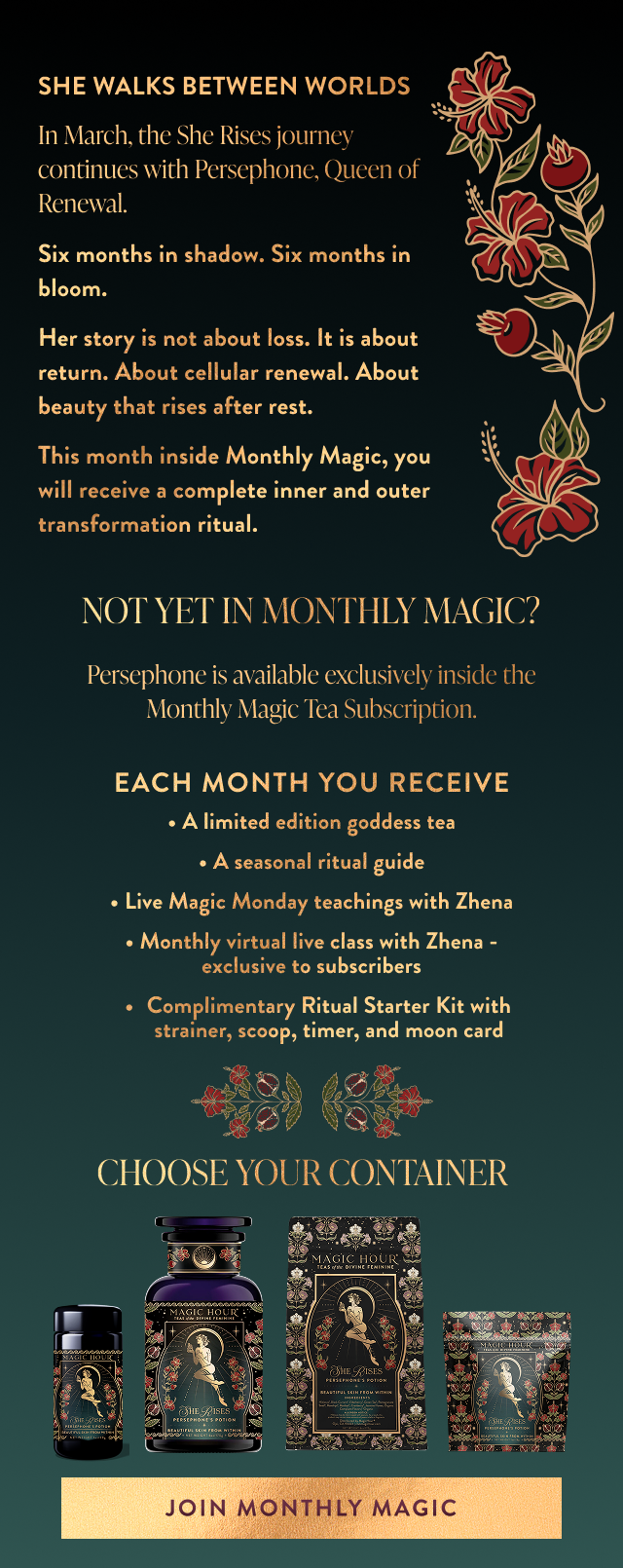 an image of a poster with a picture of a woman and a man