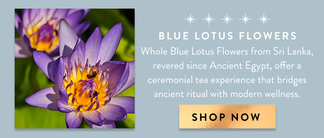 Blue Lotus Flowers