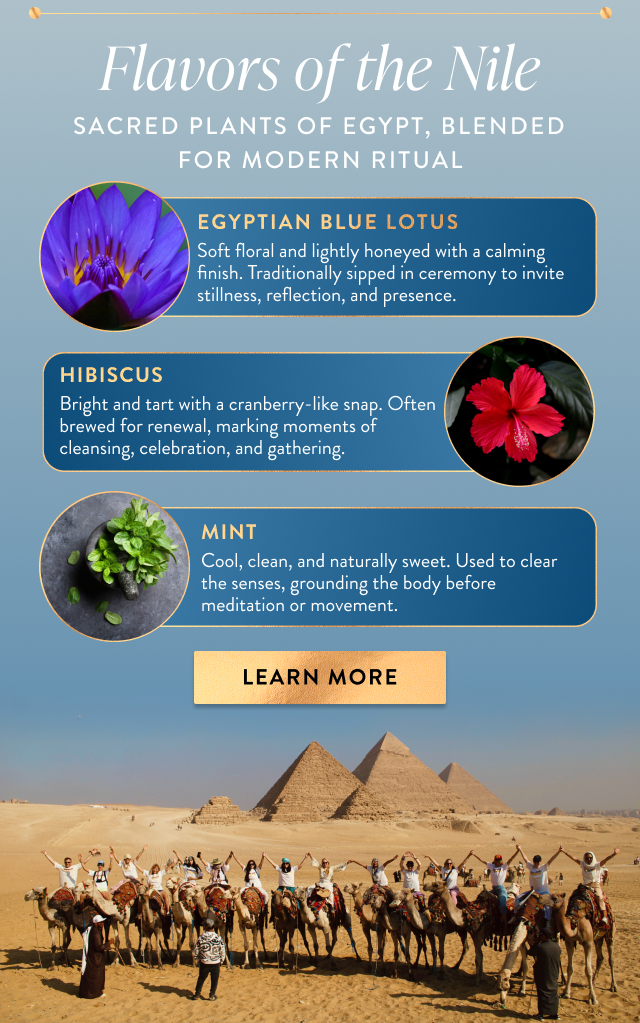 Flavors of the Nile