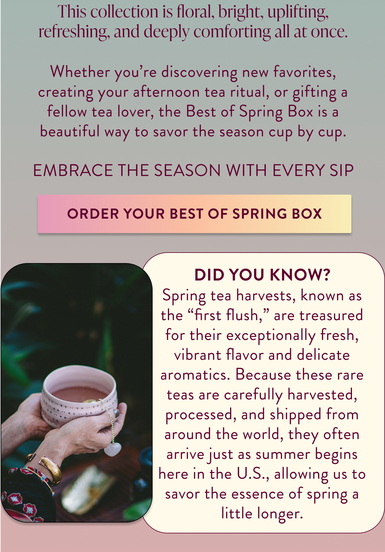 Order now! $149 value for $99