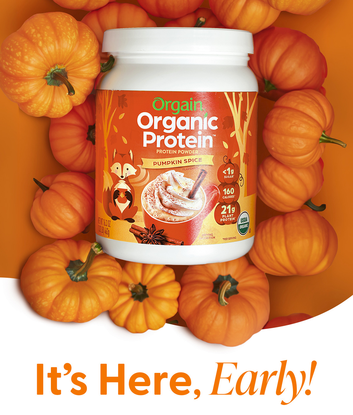 It's Here, Early: Pumpkin Spice Protein Powder