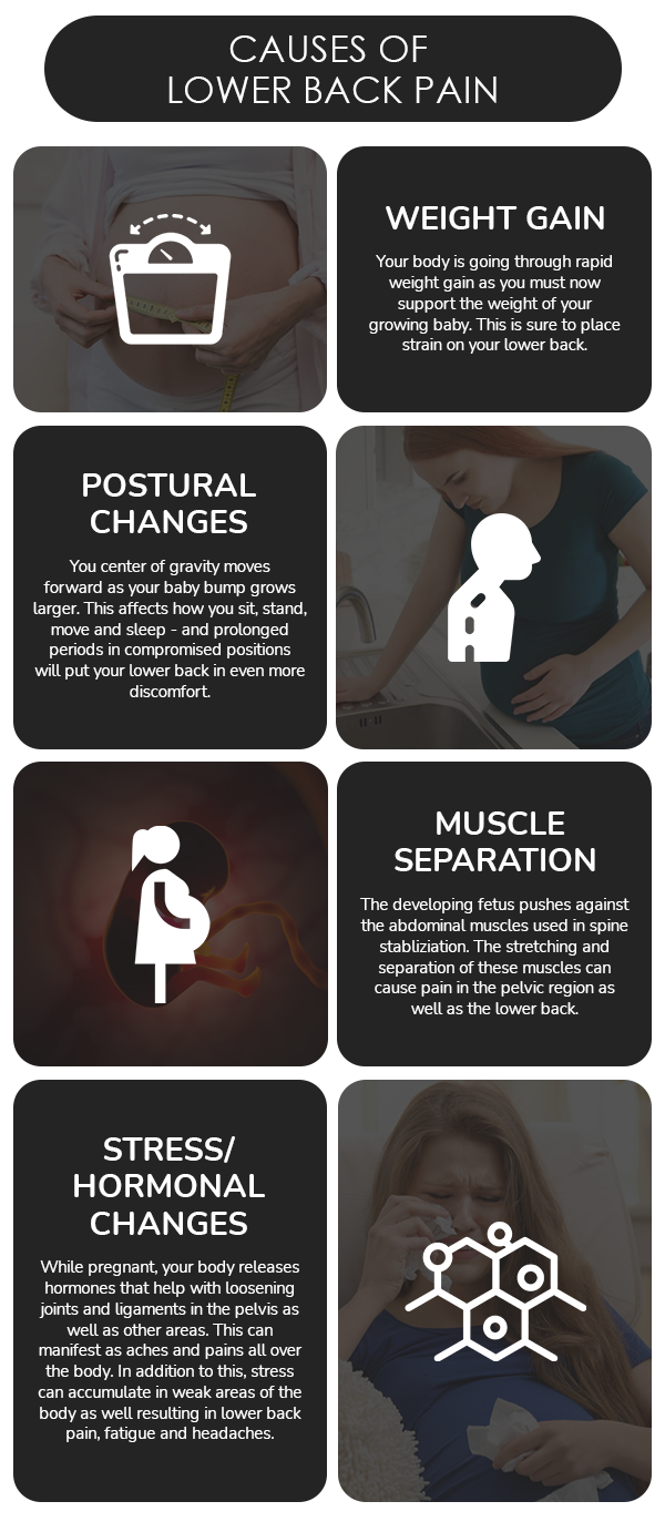 Lower back pain getting to you? 8 Sheep Organics