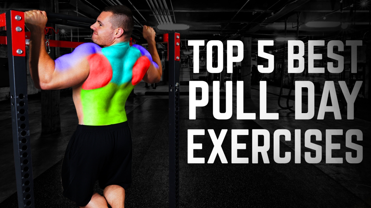💥My Top 5 Pull Day Exercises! Clench Fitness