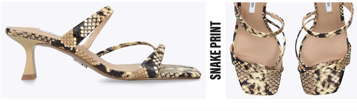 Ajay Snakeprint