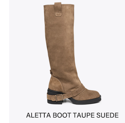 Aletta Boot Taupe Suede