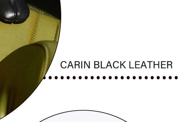 Carin Black Leather