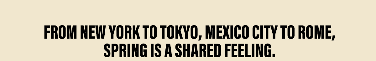 Spring Collection CTA