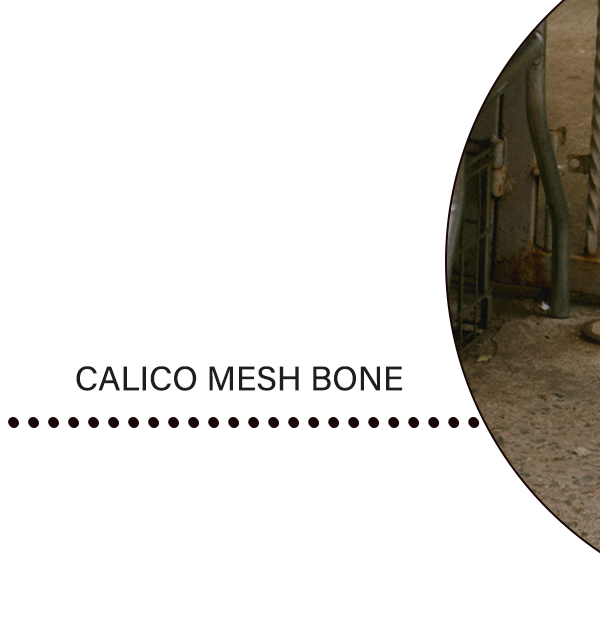 Calico Mesh Bone