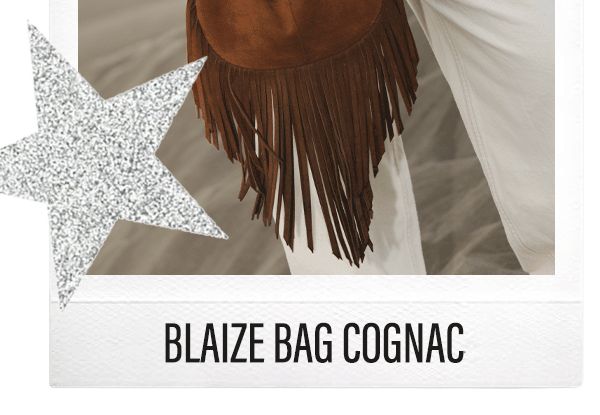Blaize Bag