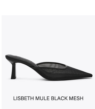 Lisbeth Mule Black Mesh