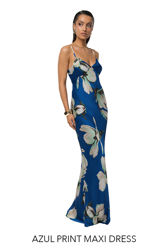 Blue Floral Azul Print Maxi Dress