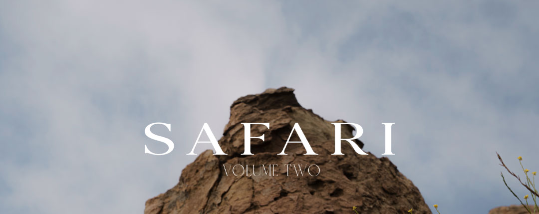 SAFARI VOL 2 