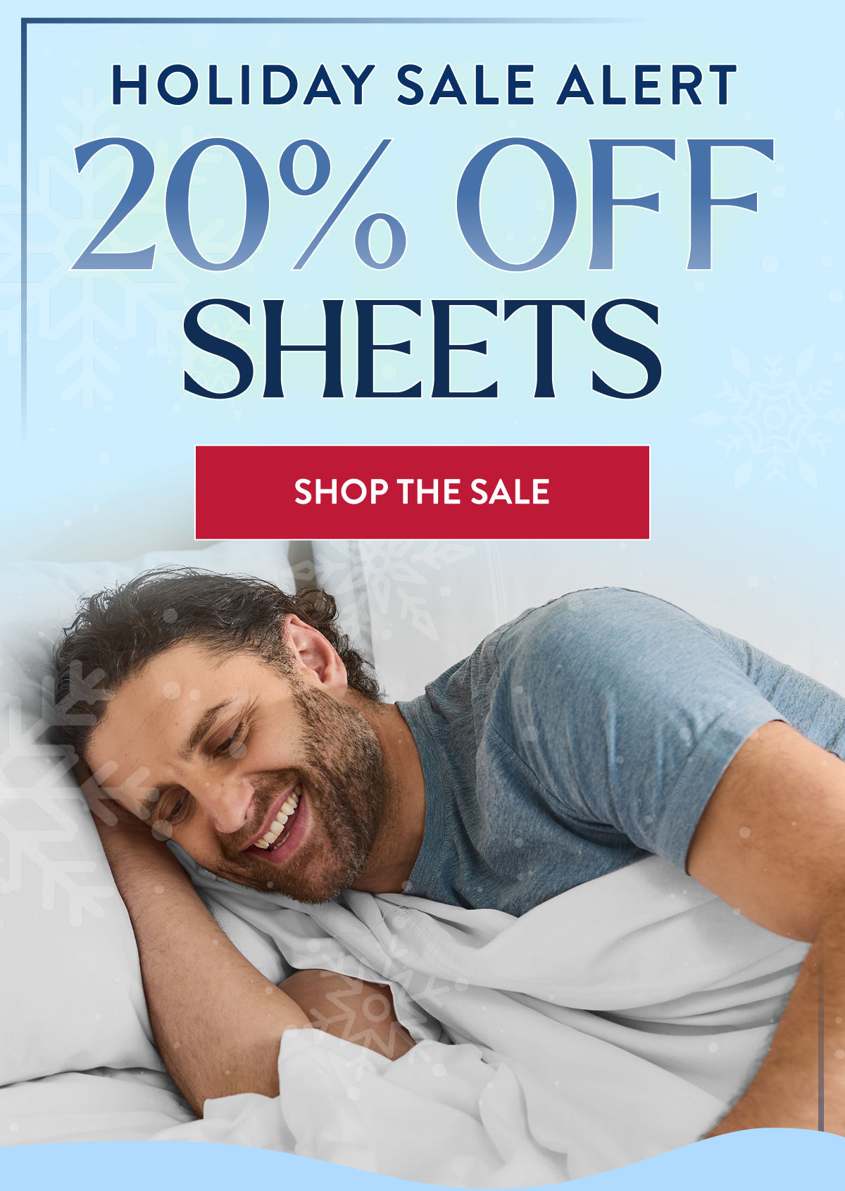 Holiday Sale  Alert 20% Off