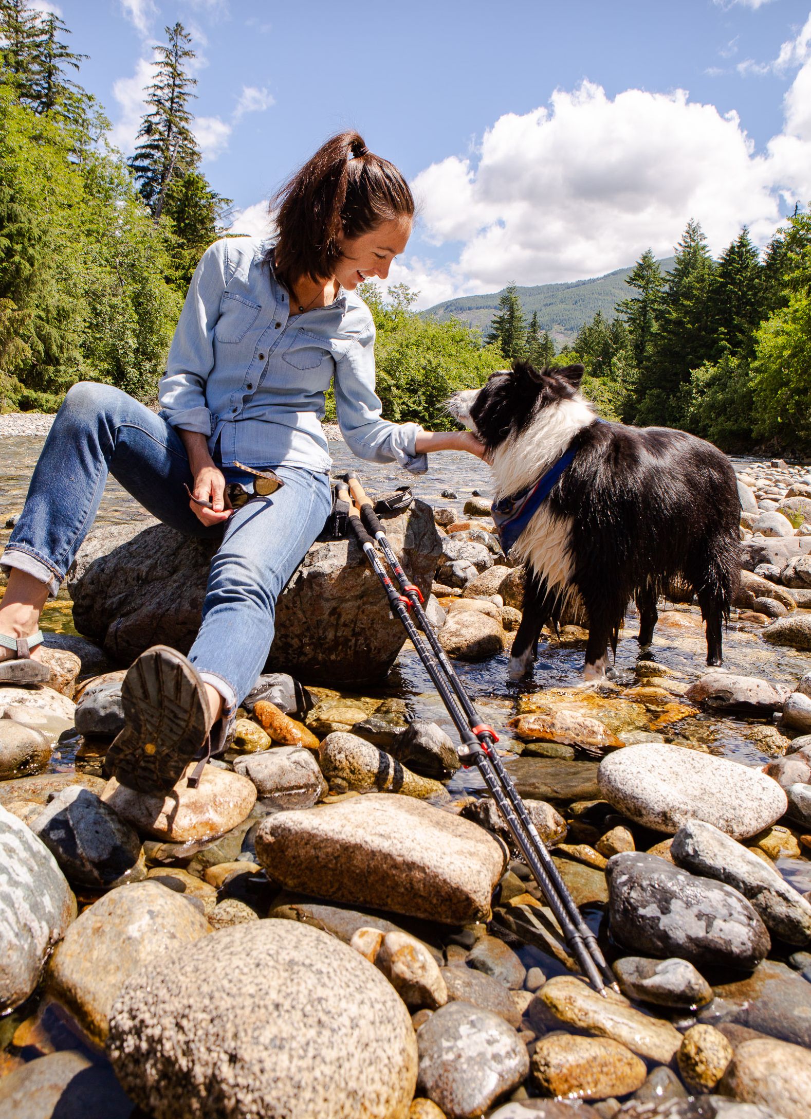 Cascade Mountain Tech Trekking Poles - Thumbnail 4