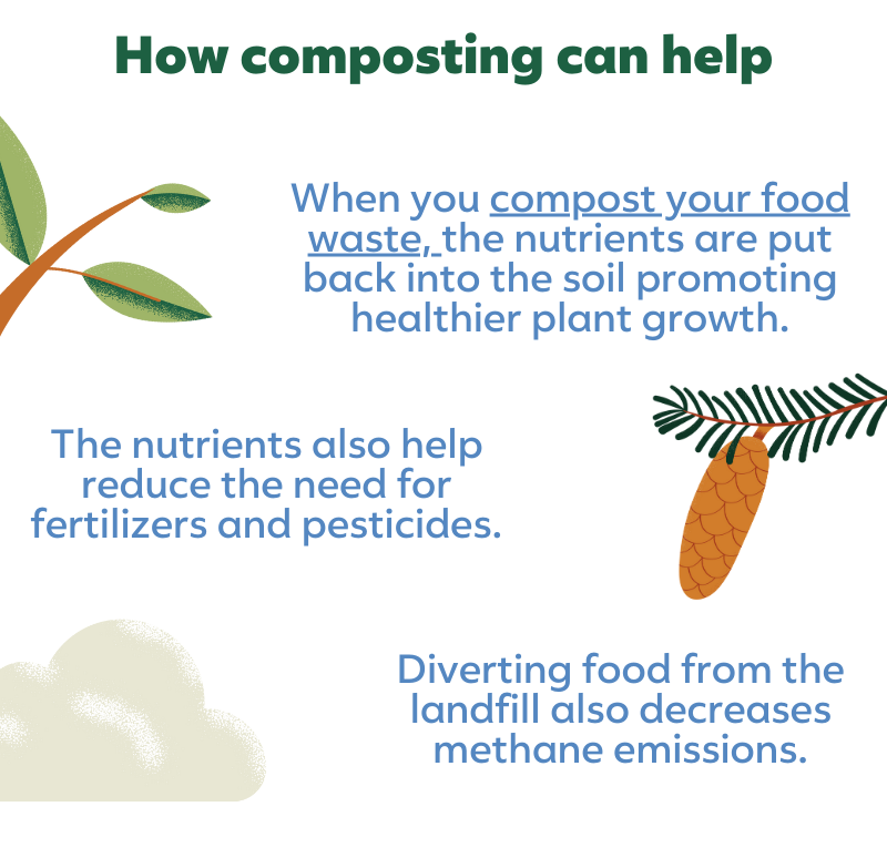 Composting Why it matters to the EarthHero