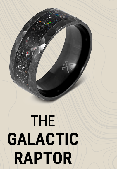 The Galactic Raptor