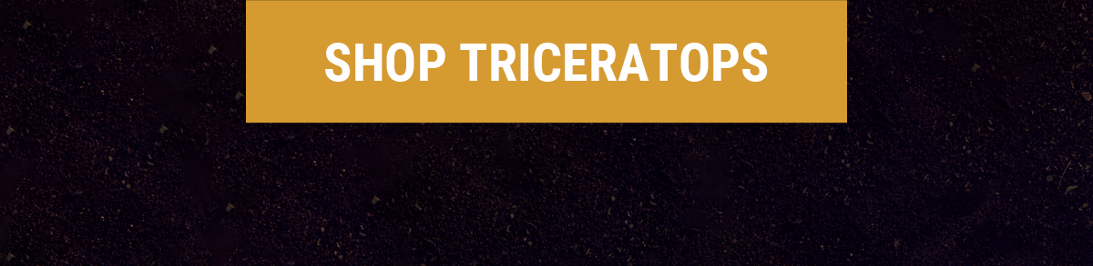The Triceratops