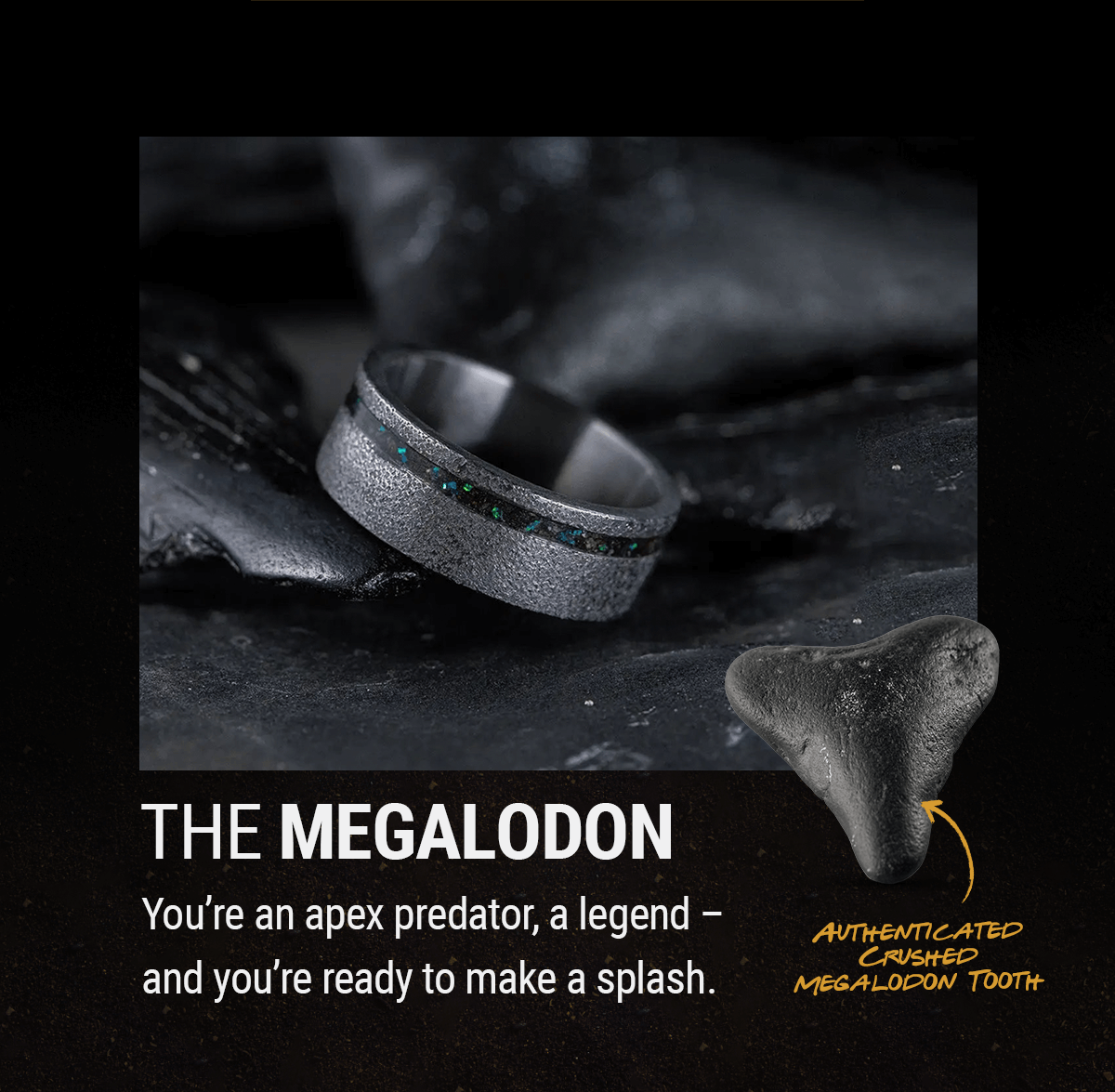 The Megalodon