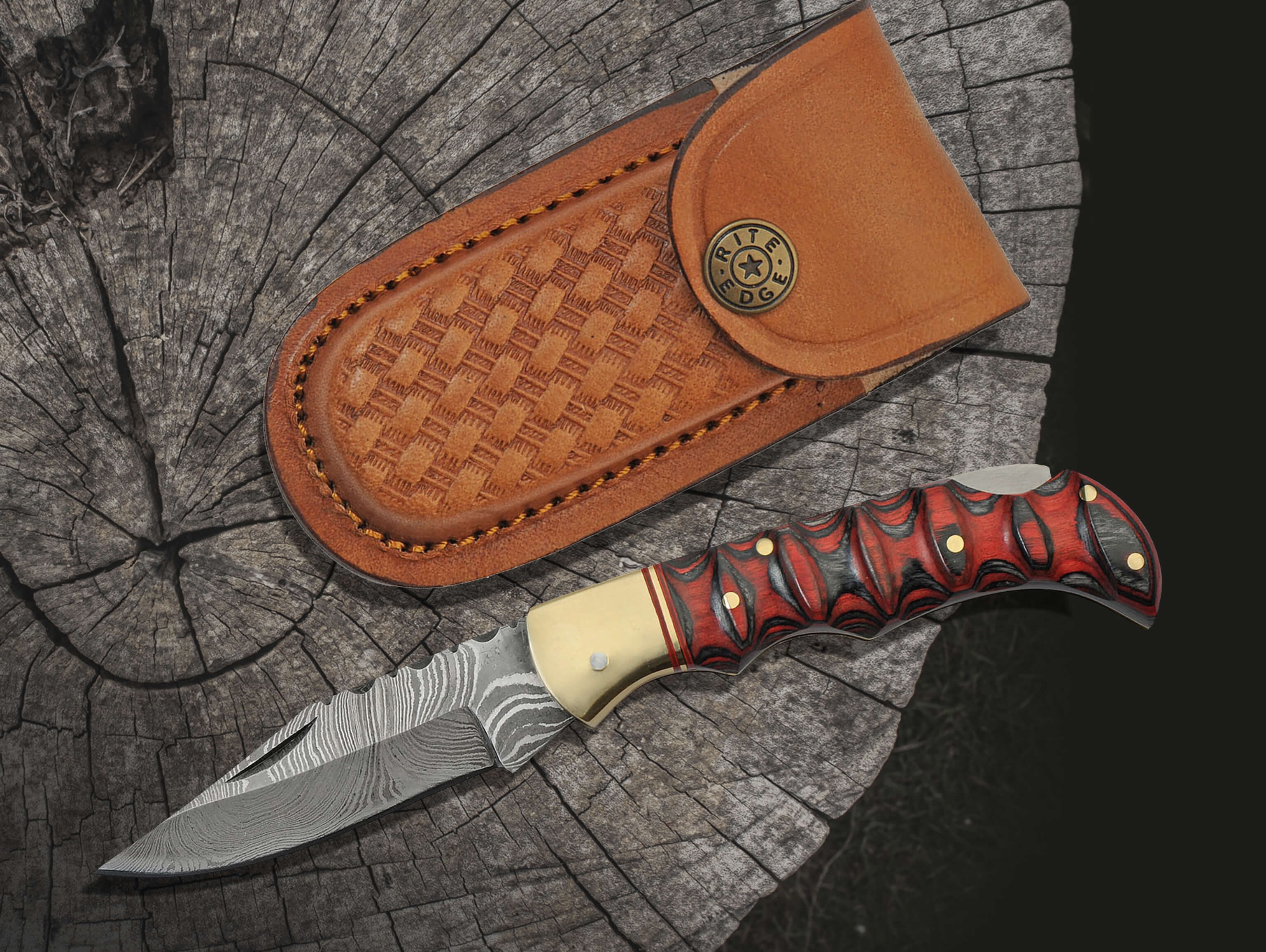 Intrepid Lockback Folder Knife