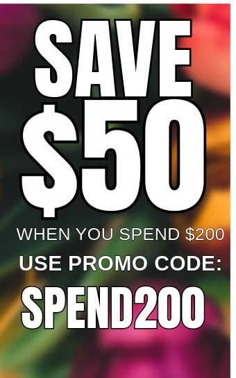Save $100 When You Spend $300