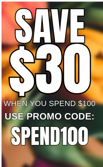 Save $100 When You Spend $300