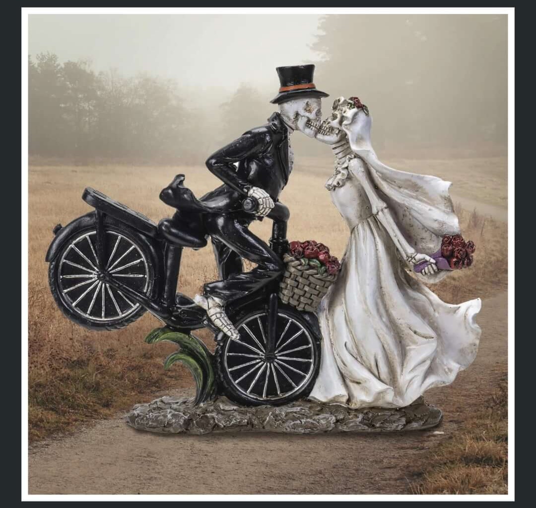 Explore The Collection