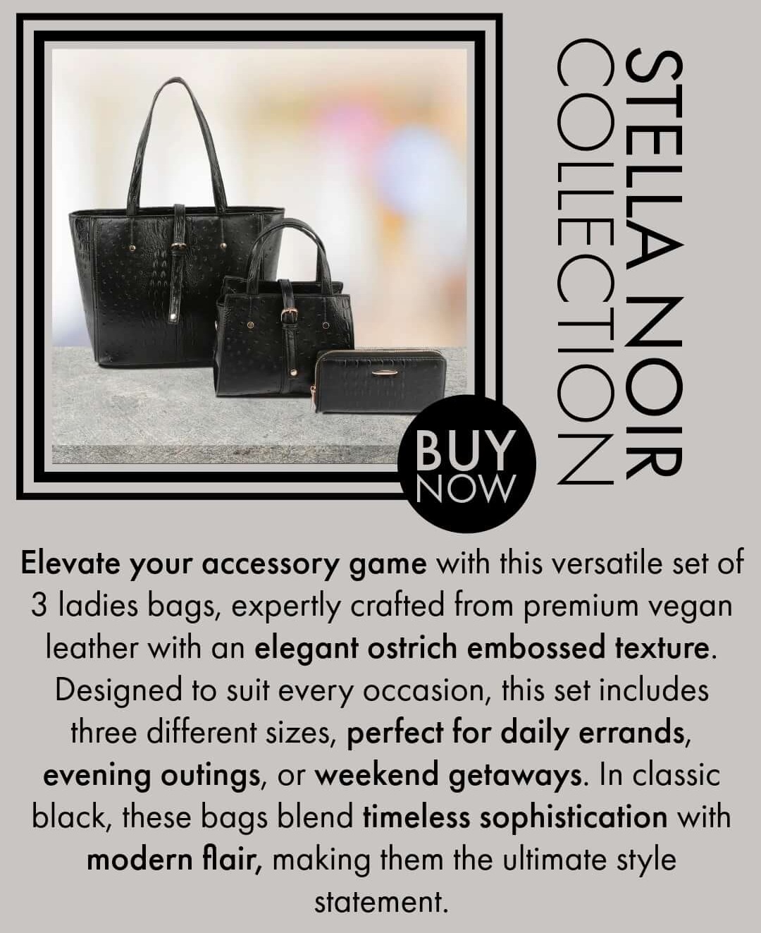 Stella Noir Bag- save $30 with code GKDIGI