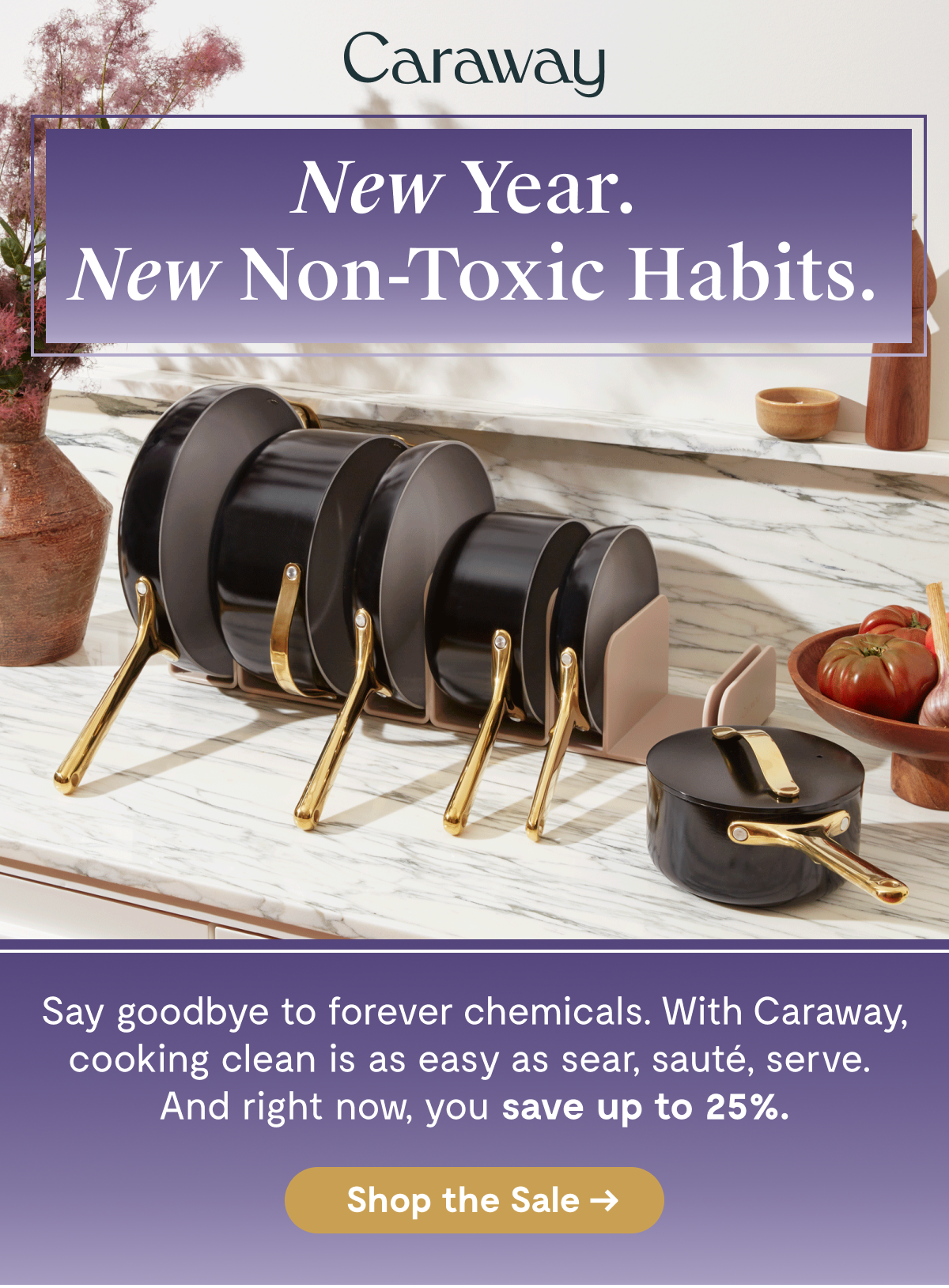 New Year. New Non-Toxic Habits. Shop The Sale.