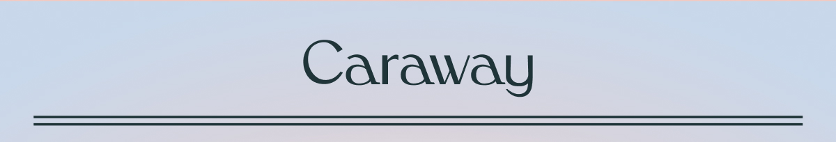 Caraway Non Toxic Kitchenware