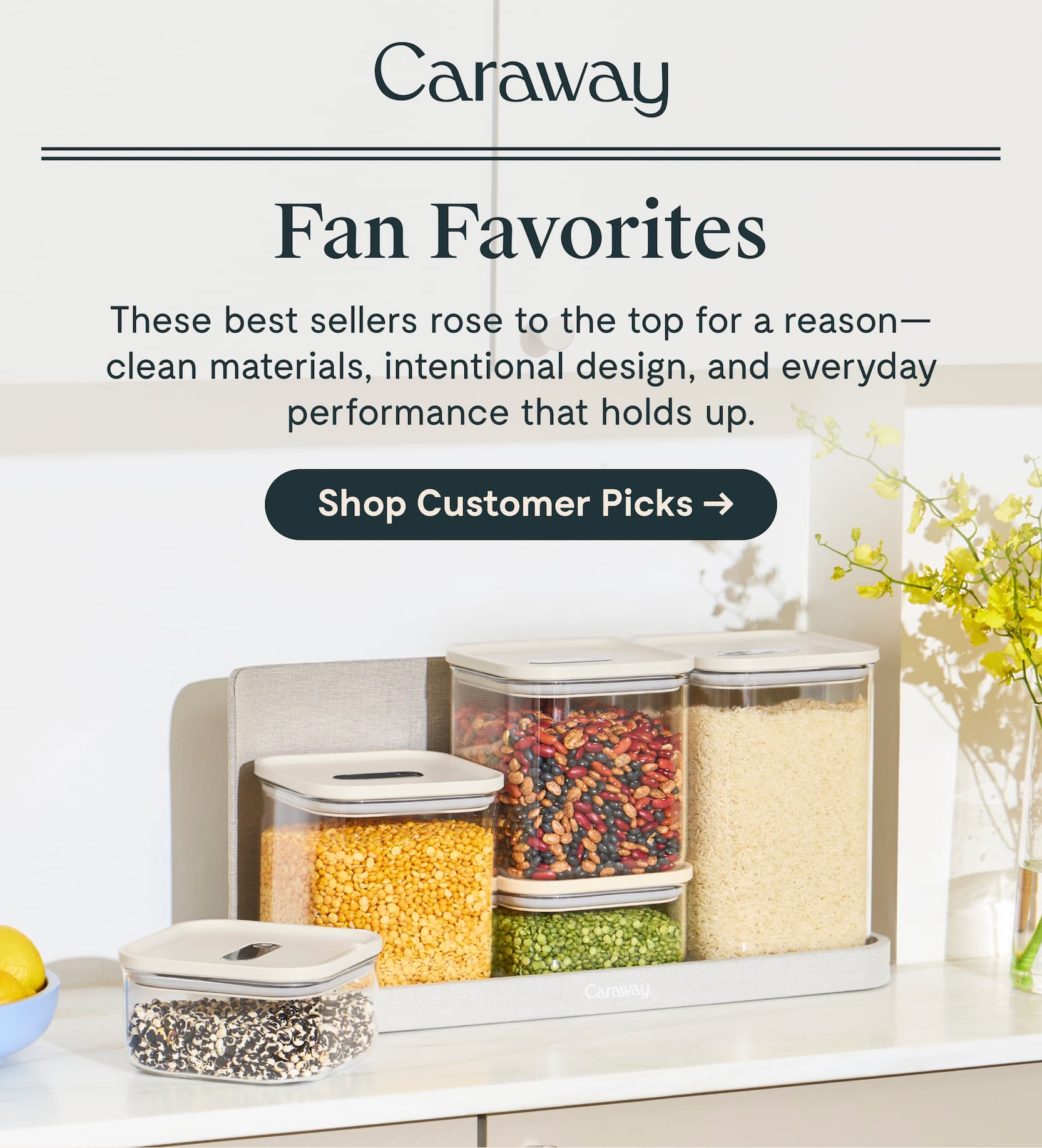 Fan Favorites [Shop Customer Picks]