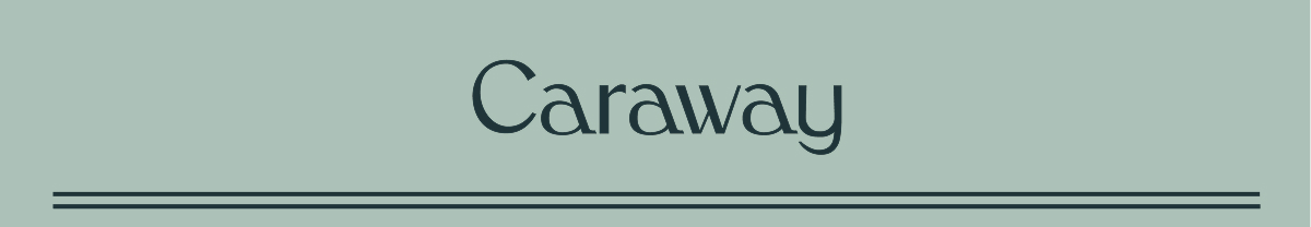 Caraway Cookware Non Toxic